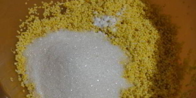 запечённый пшённик