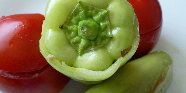 бадымджан, бибяр, помидор долмасы