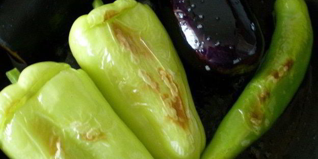 бадымджан, бибяр, помидор долмасы