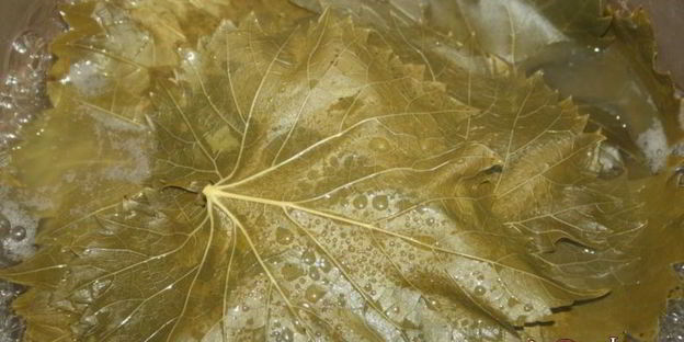 долма в мультиварке в овощном соусе