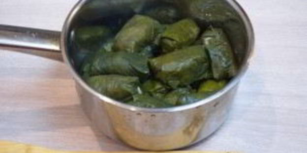 долма в виноградных листьях