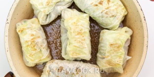 голубцы с перловкой и грибами