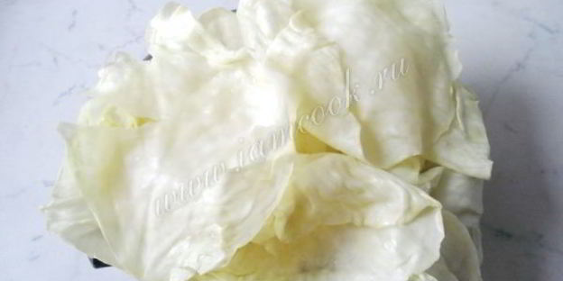 голубцы в сметанном соусе