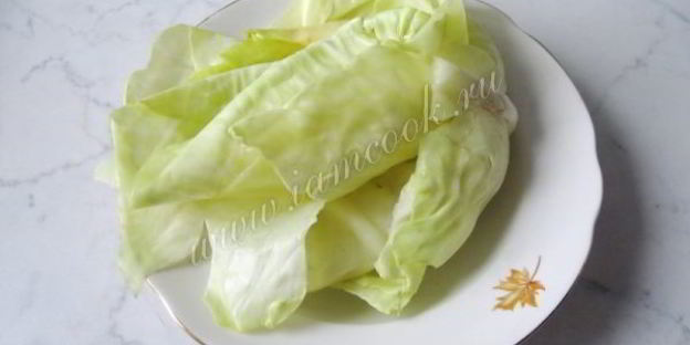 маринованные голубцы