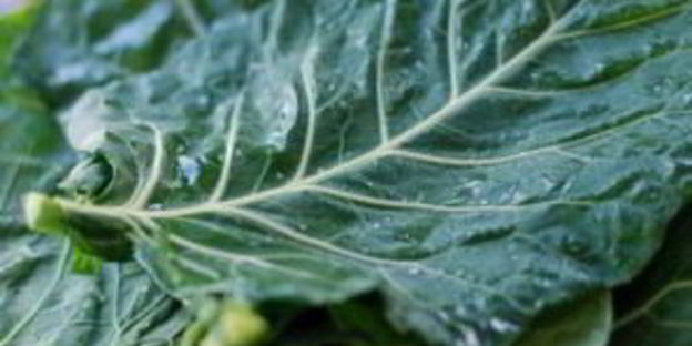 постные голубцы с пшеном