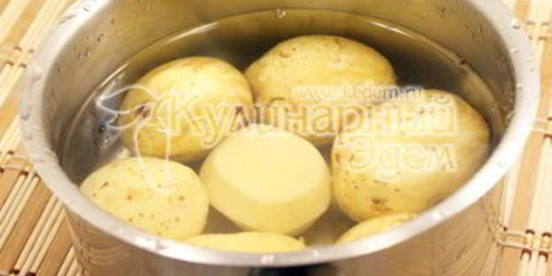 белые грибы в сметанном соусе