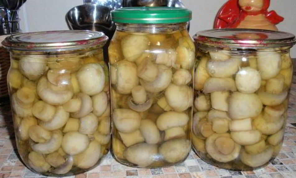 Рецепт домашних консервированных шампиньонов