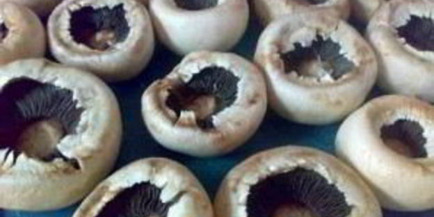 фаршированные шляпки шампиньонов