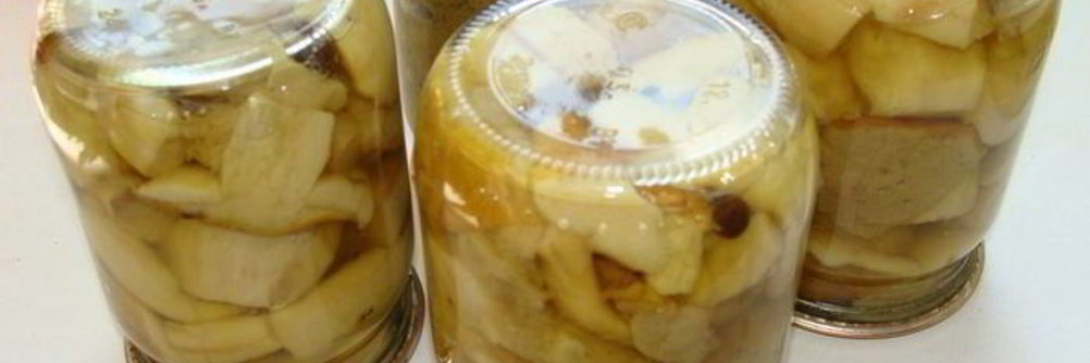 Грибы белые