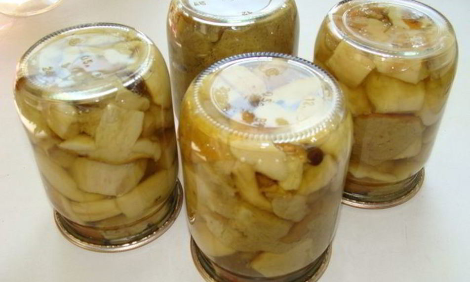 Рецепт грибов белых