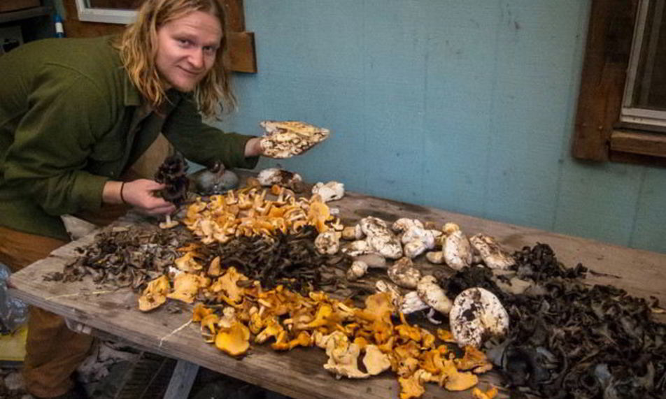 Рецепт грибов песочники