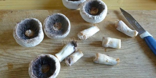 грибы с сыром и помидорами в духовке