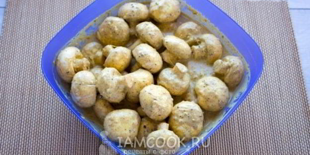 грибы тандури