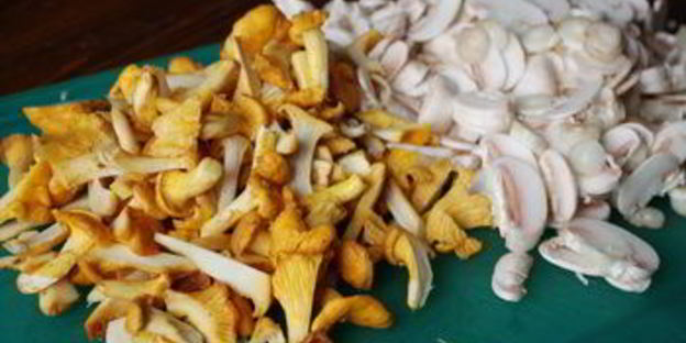 грибы в сливочной заливке