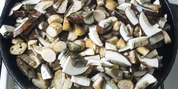 грибы в сметане под сыром