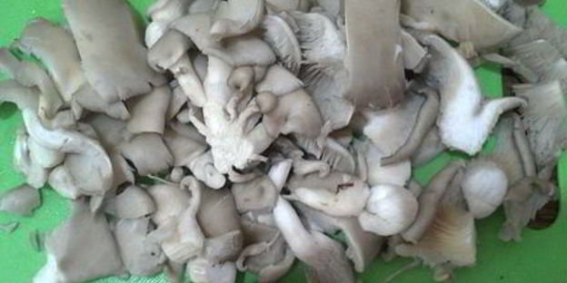 грибы вешенки с овощами по-корейским мотивам