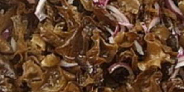 китайские древесные грибы муэр