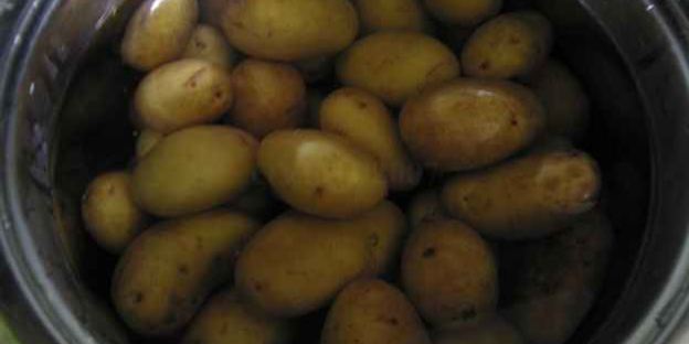 лисички жареные с картофелем