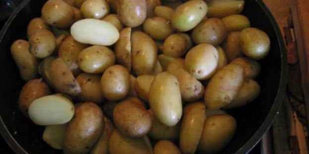 лисички жареные с картофелем