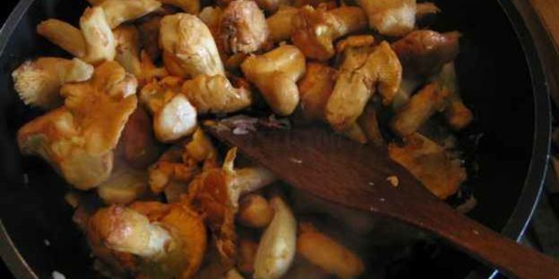 лисички жареные с картофелем