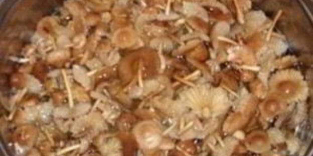 опята с картошкой в духовке