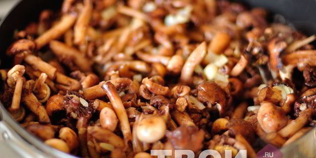 опята жареные