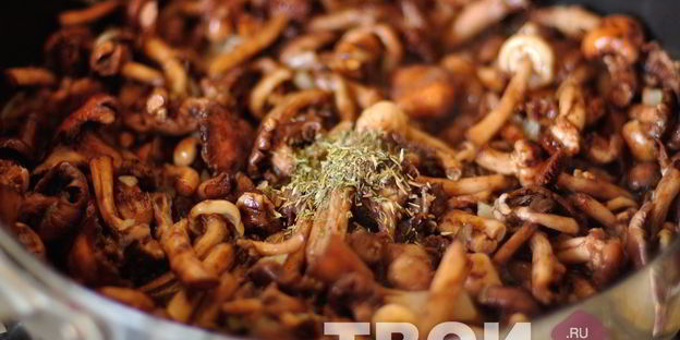 опята жареные