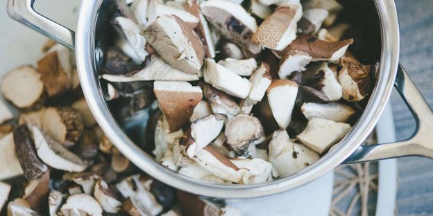 отварные лесные грибы