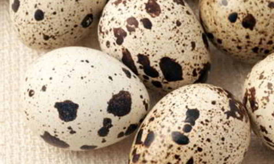 Рецепт шампиньонов с перепелиными яйцами