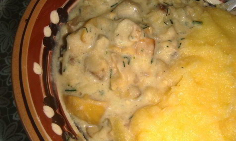 Рецепт смажанки — грибов в сметане