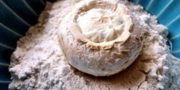 жареные фаршированные шампиньоны