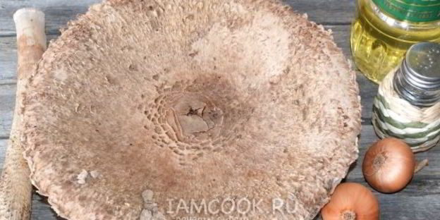 жареные зонтики