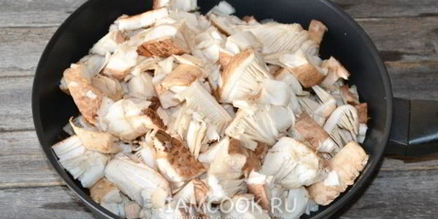 жареные зонтики