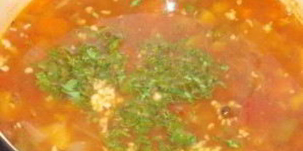 гуляш из оленины