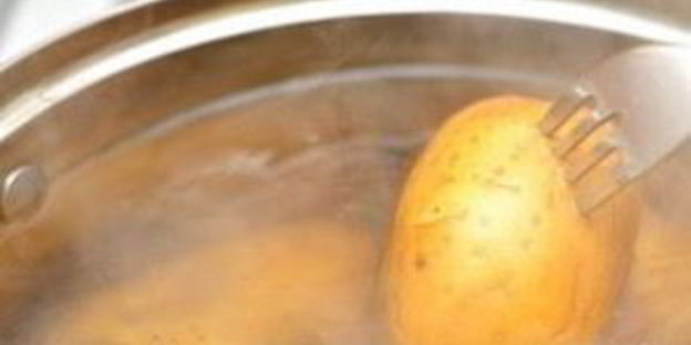 вегетарианские котлеты