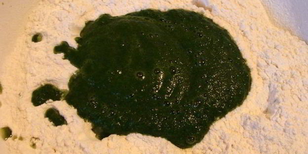 домашняя зеленая лазанья