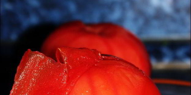 лазанья с лавашом