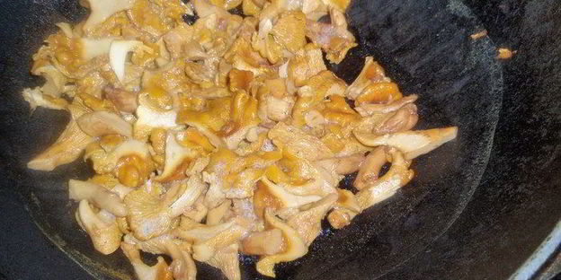 лазанья с лисичками и сельдереем