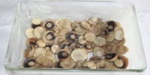 лазанья с лососем