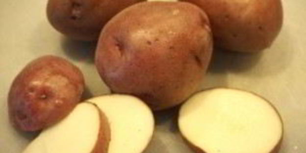 говядина в рукаве с овощами