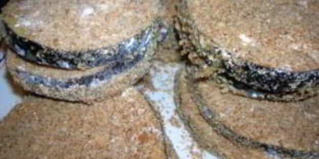 баклажаны с сыром и чесноком