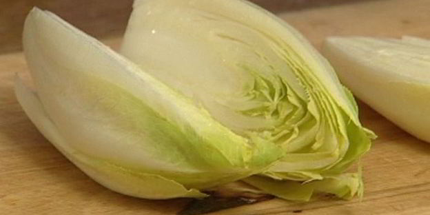 гратен из цикория