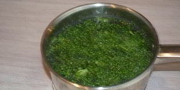 капуста брокколи под сливочным соусом