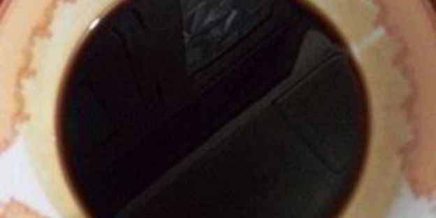 печень по-корейски