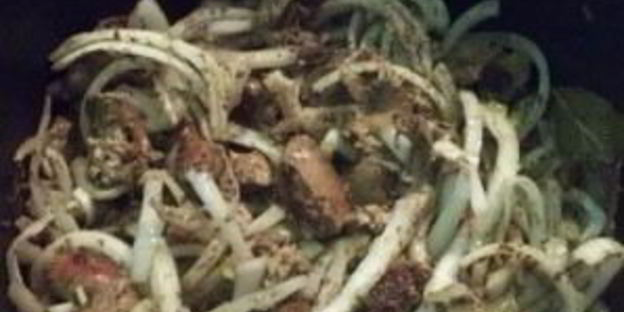 печень по-корейски