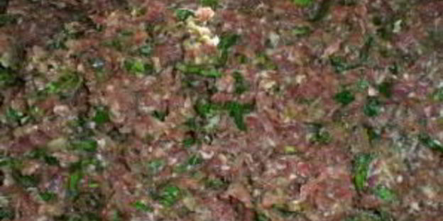 хинкали с мясом