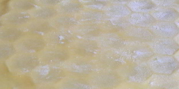 пельменное тесто на желтках