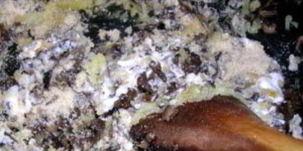 польские пельмени ушки