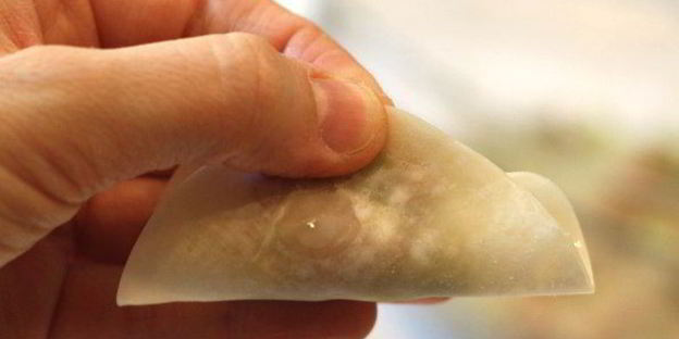 японские жареные пельмени