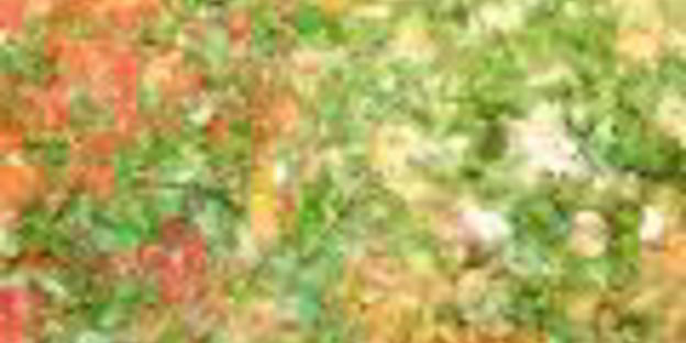 ароматный плов с чечевицей